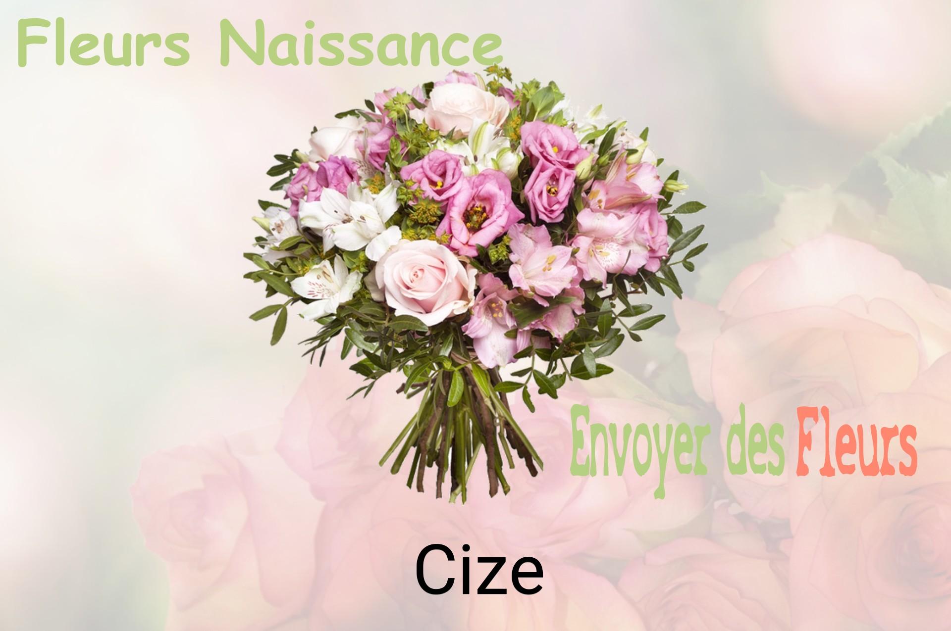 Bouquet de fleurs de naissance livré à Cize