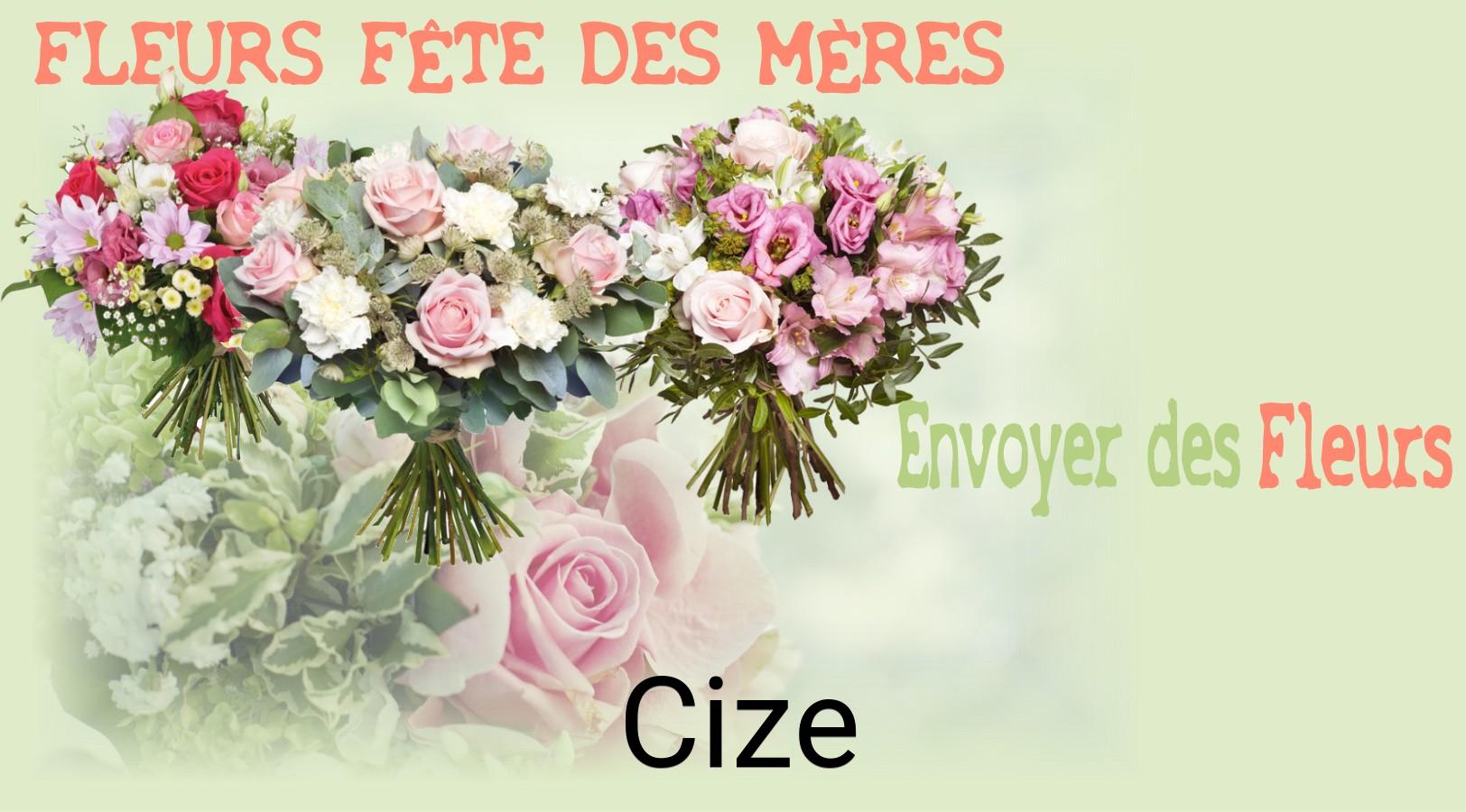 Bouquet de Fête des Mères livré à Cize